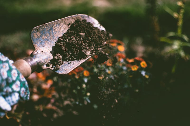 Landscaper working in garden
